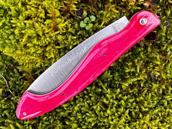Arconsat ® Os de chameau teinté rose