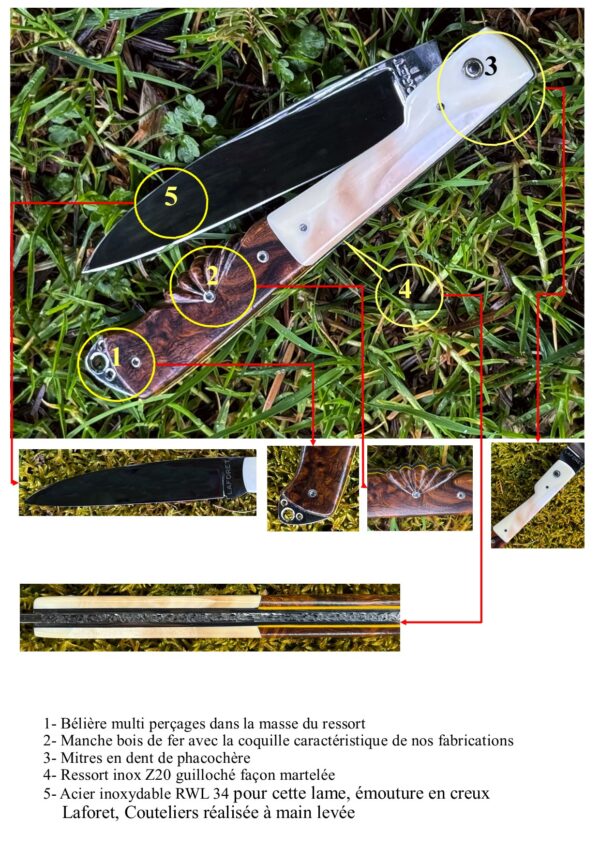 Vendetta 13 Cm La Griffe Phacochère Bois de Fer – Image 7