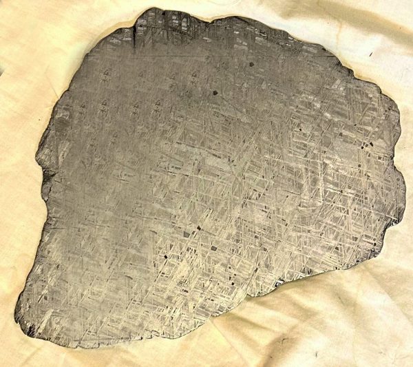 Bourbonnais Pulpe d'ivoire de mammouth Météorite Muonionalusta – Image 2