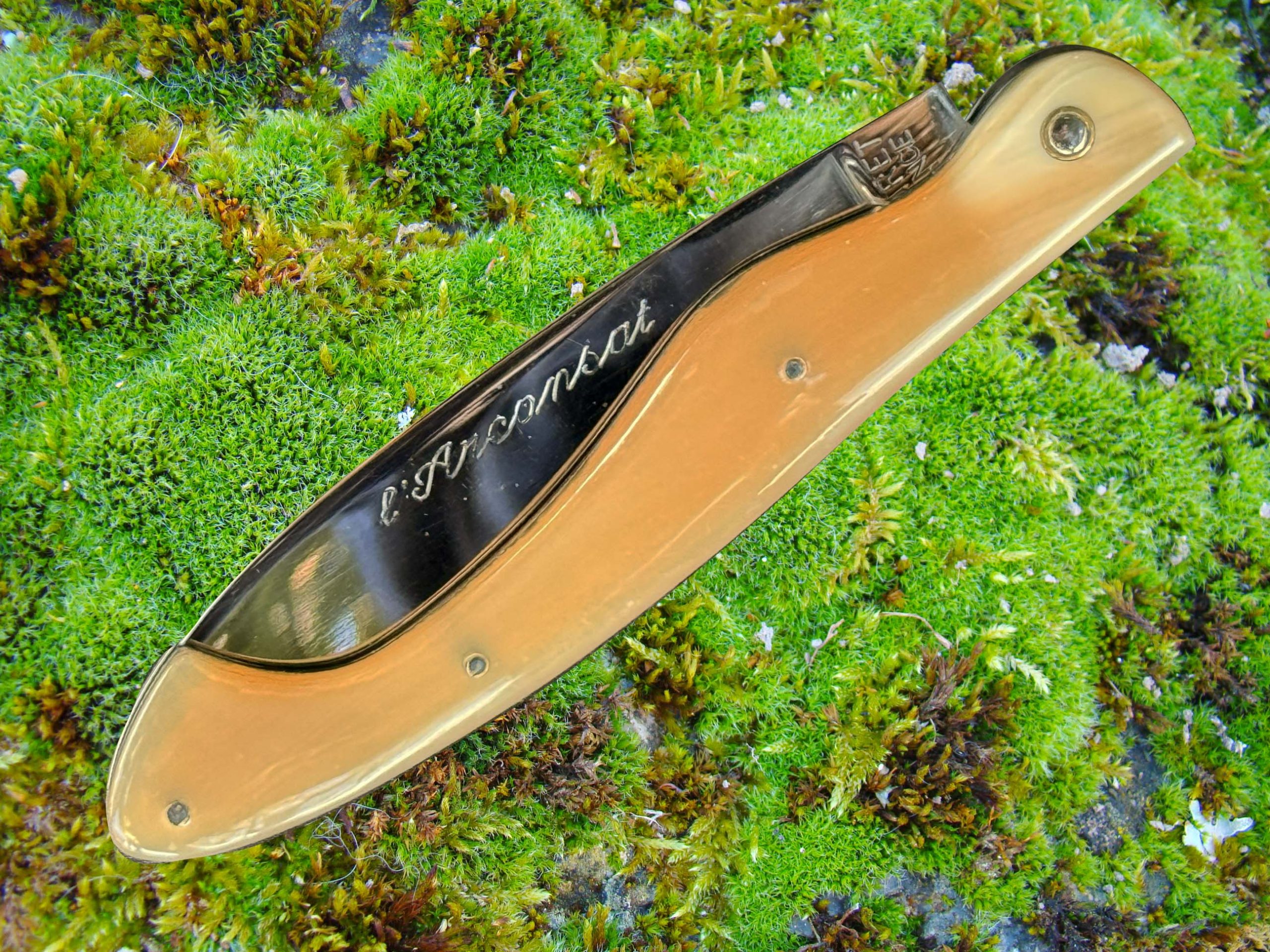 Arconsat ® Corne pressée blonde