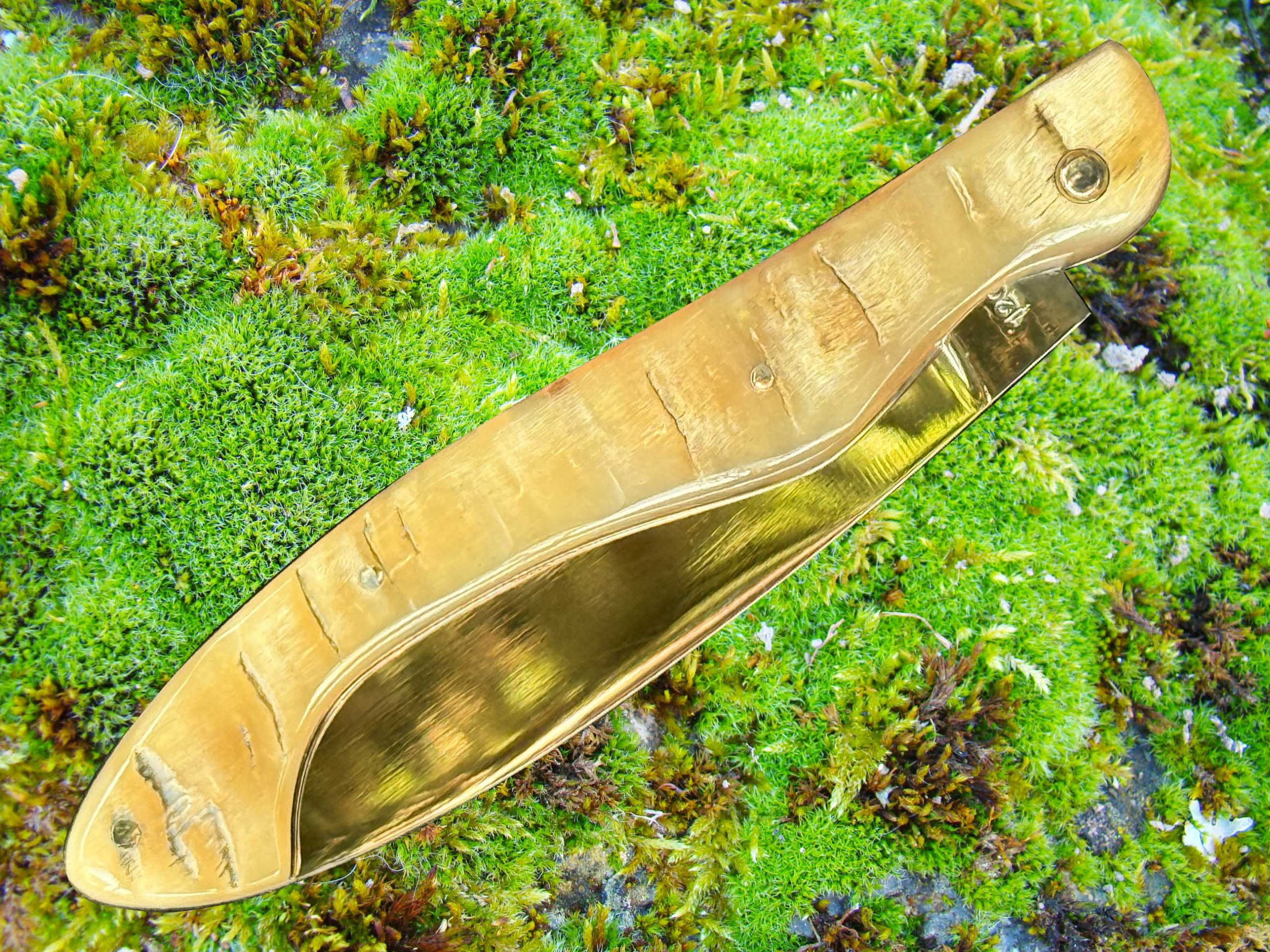 Arconsat ® Bélier blond – Image 3