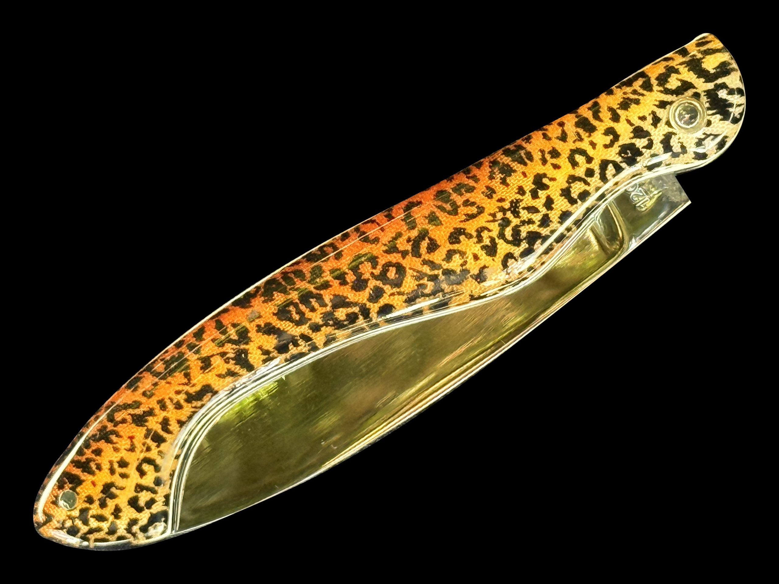 Arconsat ® Résine 2 SAFARI – Image 3