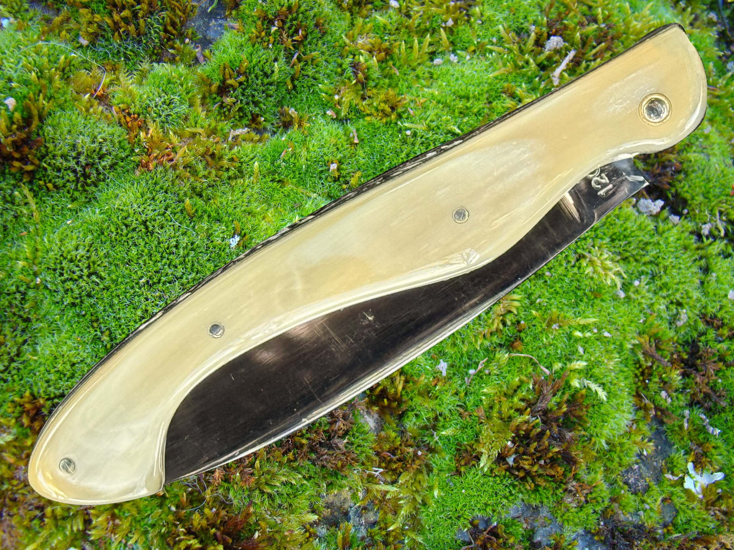 Arconsat ® Corne pressée blonde – Image 3