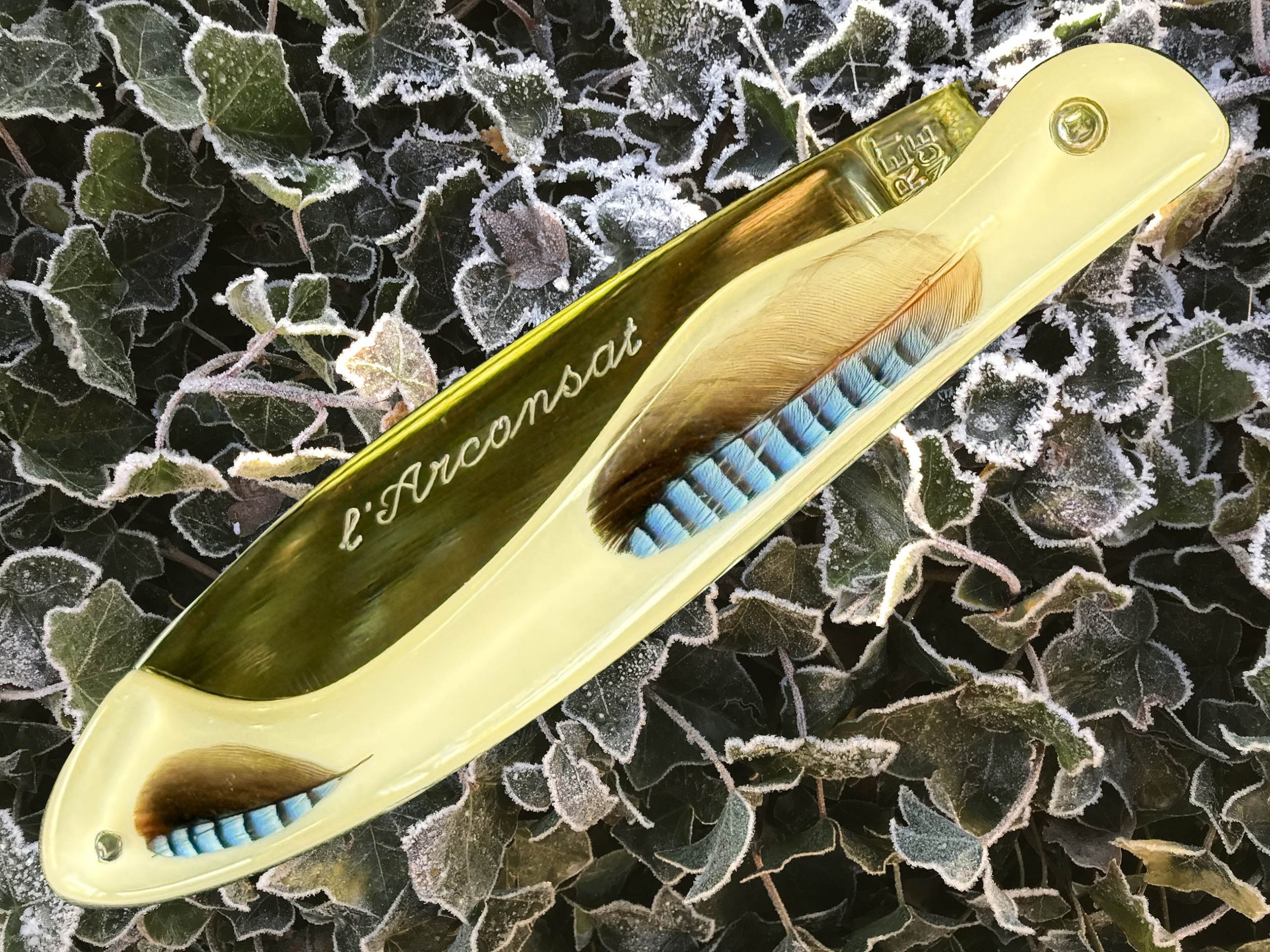 Arconsat ® Résine 6 "plume"