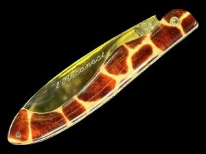 Arconsat ® Résine 7 SAFARI