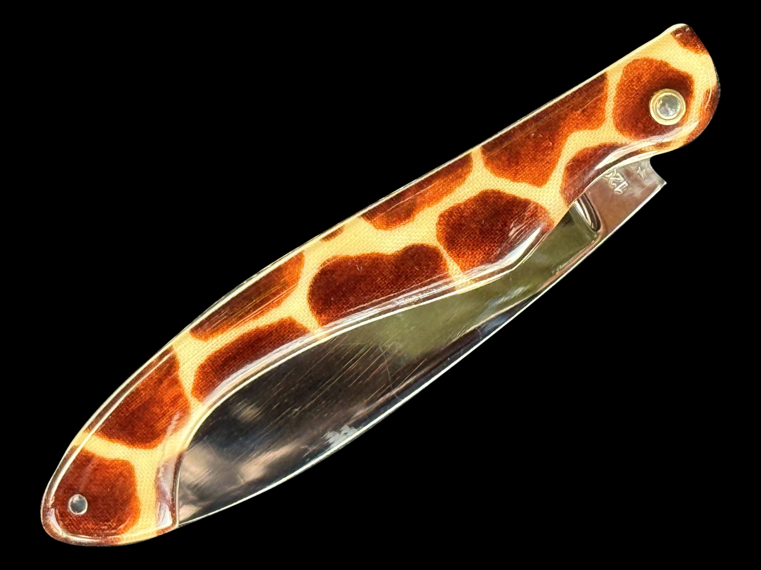 Arconsat ® Résine 7 SAFARI – Image 3