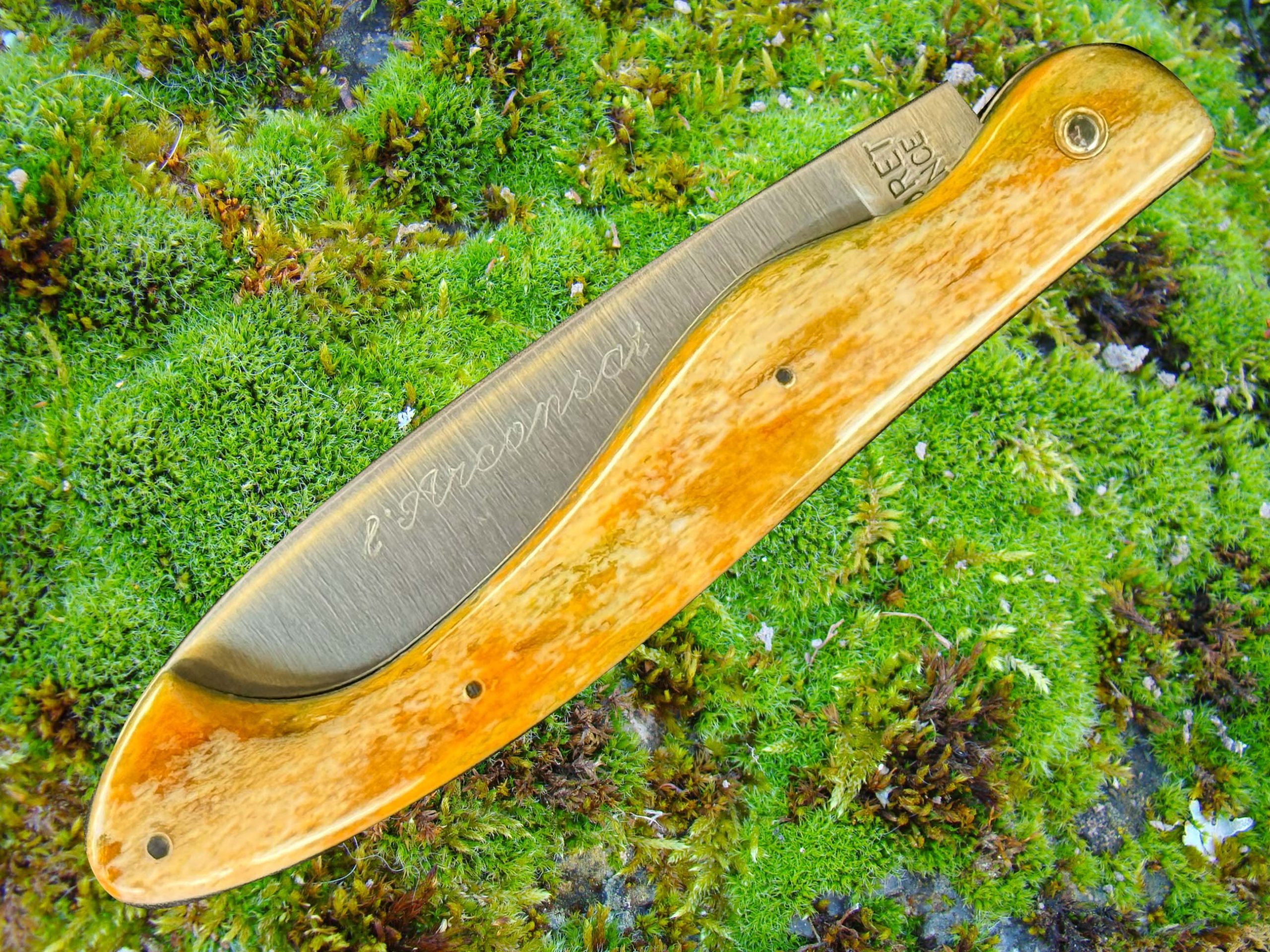 Arconsat ® Os de chameau teinté 1