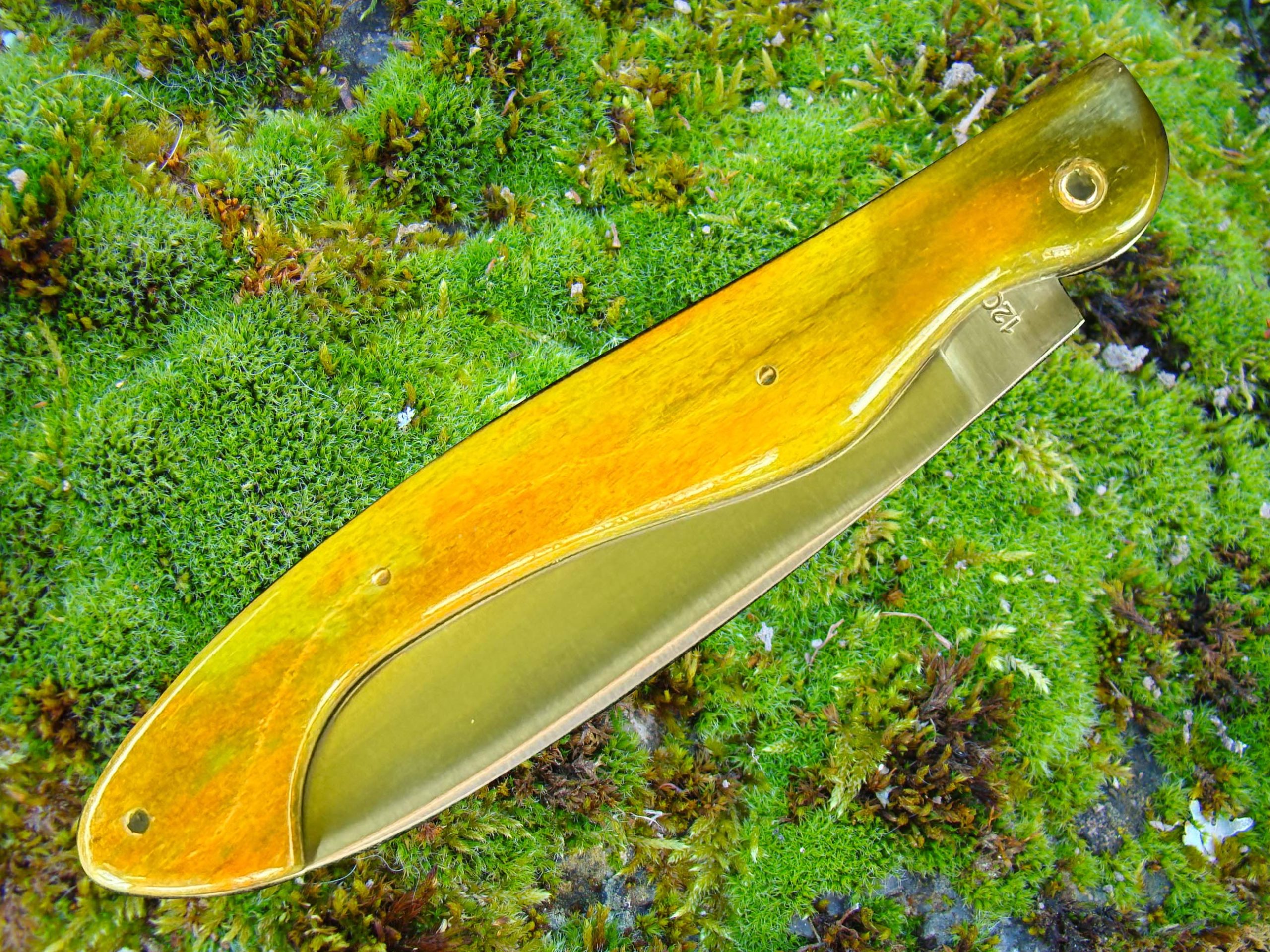 Arconsat ® Os de chameau teinté 1 – Image 3