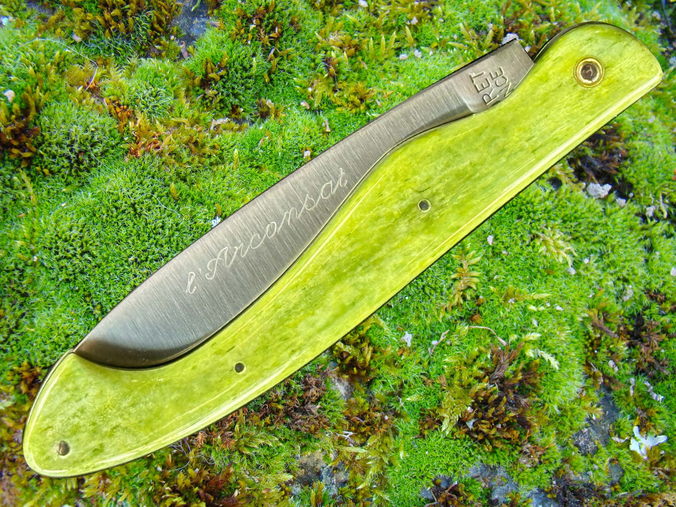 Arconsat ® Os de chameau teinté 2