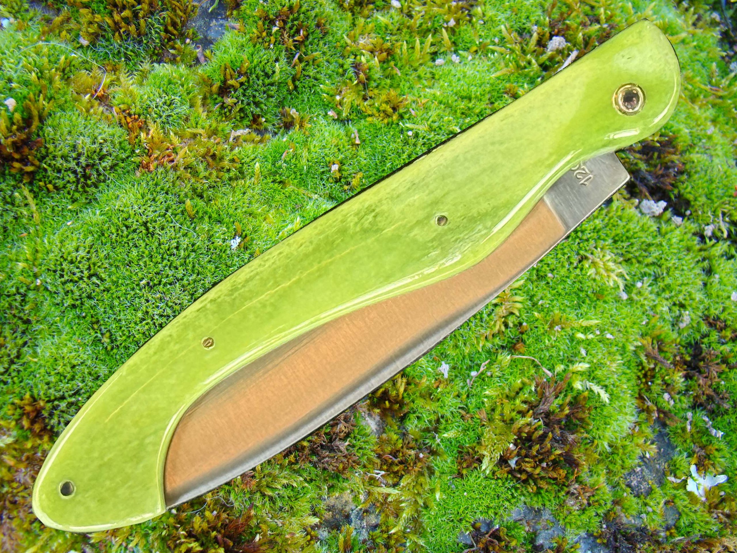 Arconsat ® Os de chameau teinté 2 – Image 3