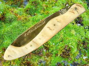 Arconsat ® Bélier blond