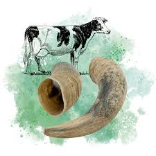 Arconsat ® Corne pressée blonde – Image 4