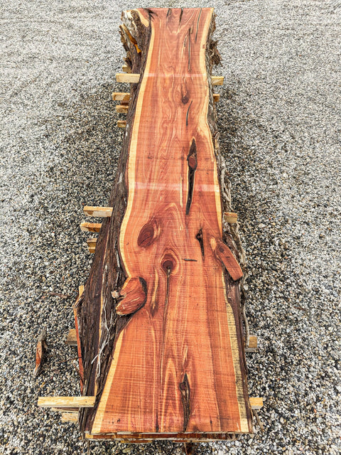 Arconsat ® Bois naturel 3 "Genévrier" – Image 2