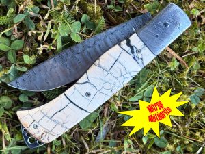 Bourbonnais pulpe d'ivoire de mammouth mitres Météorite Muonionalusta 2