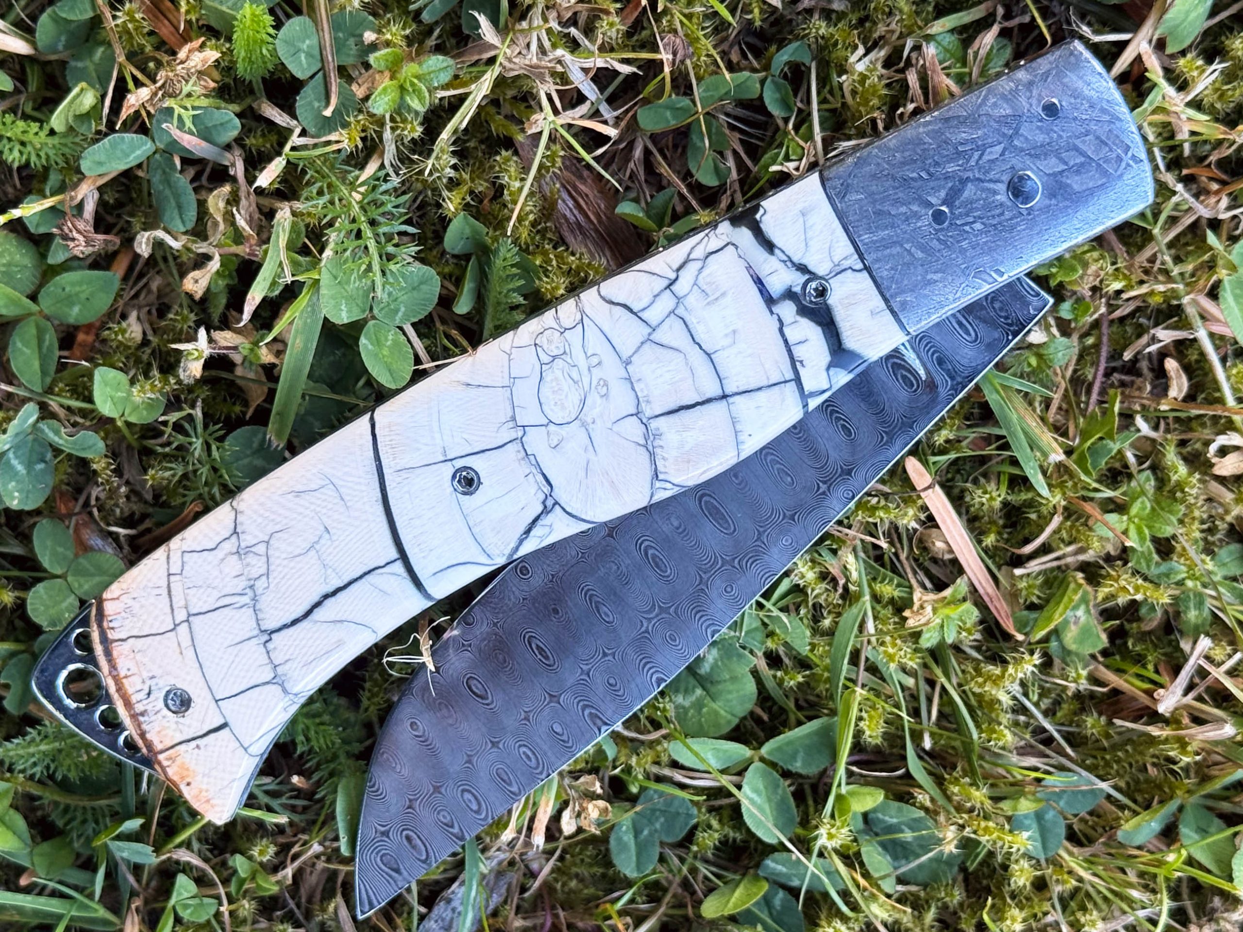 Bourbonnais pulpe d'ivoire de mammouth mitres Météorite Muonionalusta 2 – Image 4