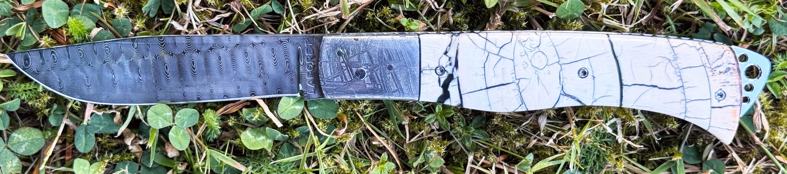 Bourbonnais pulpe d'ivoire de mammouth mitres Météorite Muonionalusta 2 – Image 6