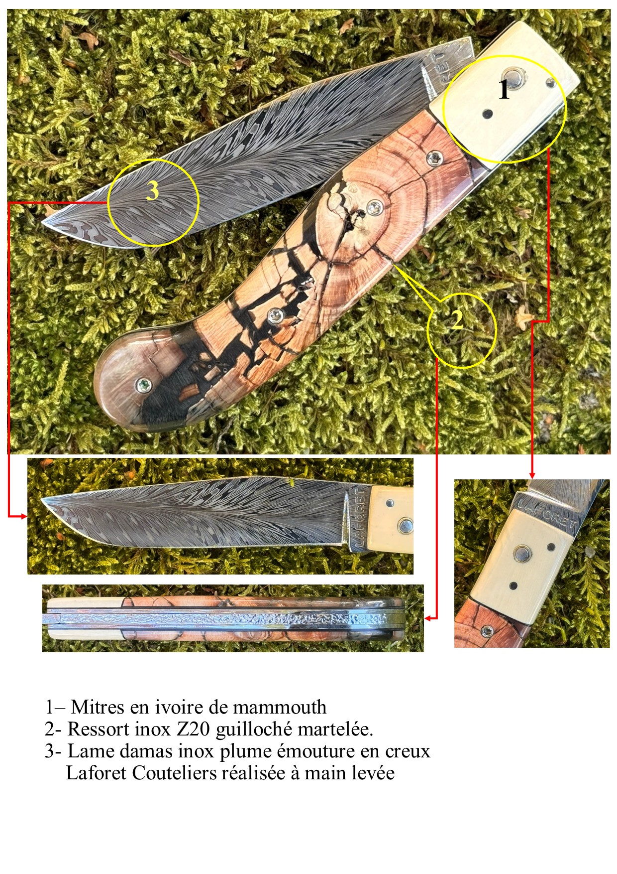 Yatagan 11.5 Cm Pulpe ivoire de mammouth Damas plume – Image 7