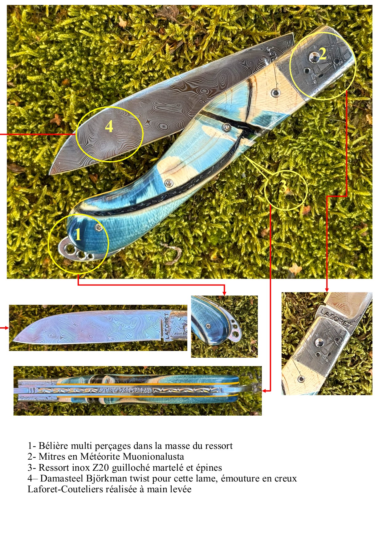 Aurillac 10.5 Cm pulpe d'ivoire de mammouth mitres météorite – Image 7