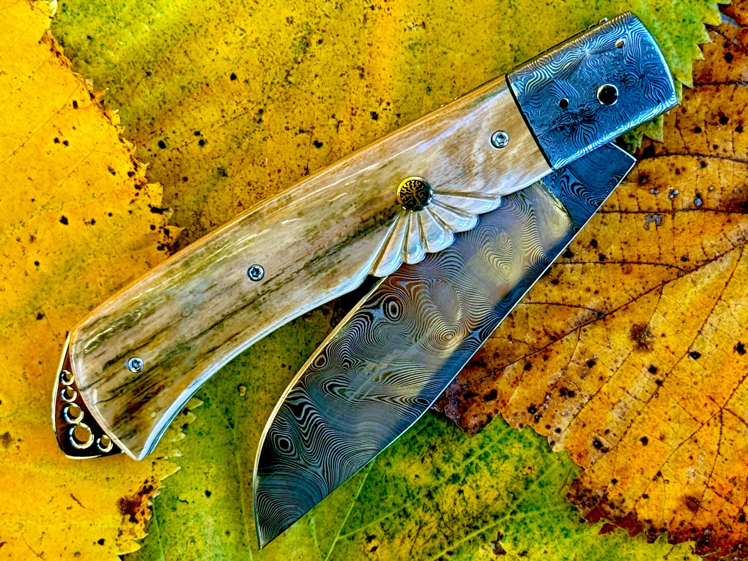 Bourbonnais Mammouth lame Damasteel mitres Gérard ALMUZARA – Image 3