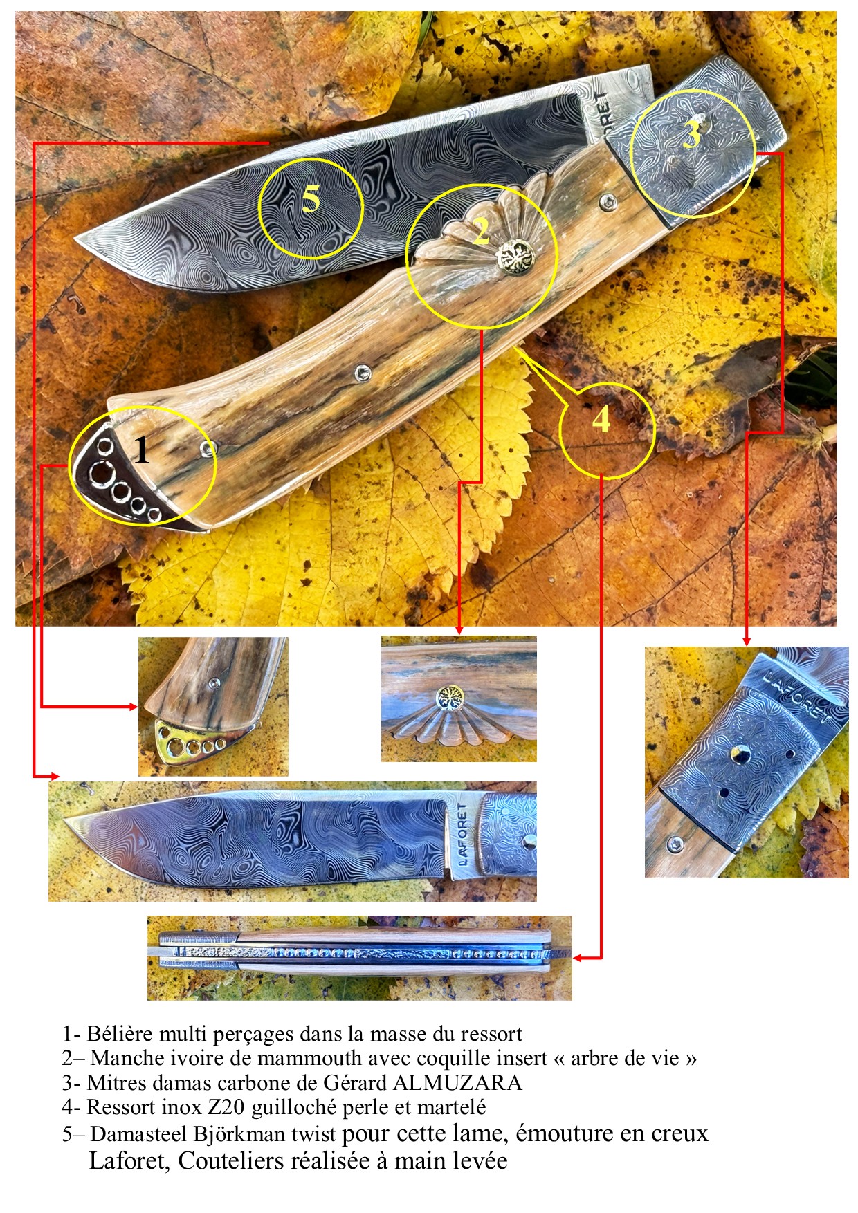 Bourbonnais Mammouth lame Damasteel mitres Gérard ALMUZARA – Image 7