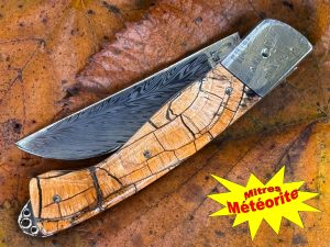 Interprétation du Thiers Chasse pulpe ivoire de mammouth mitres météorite