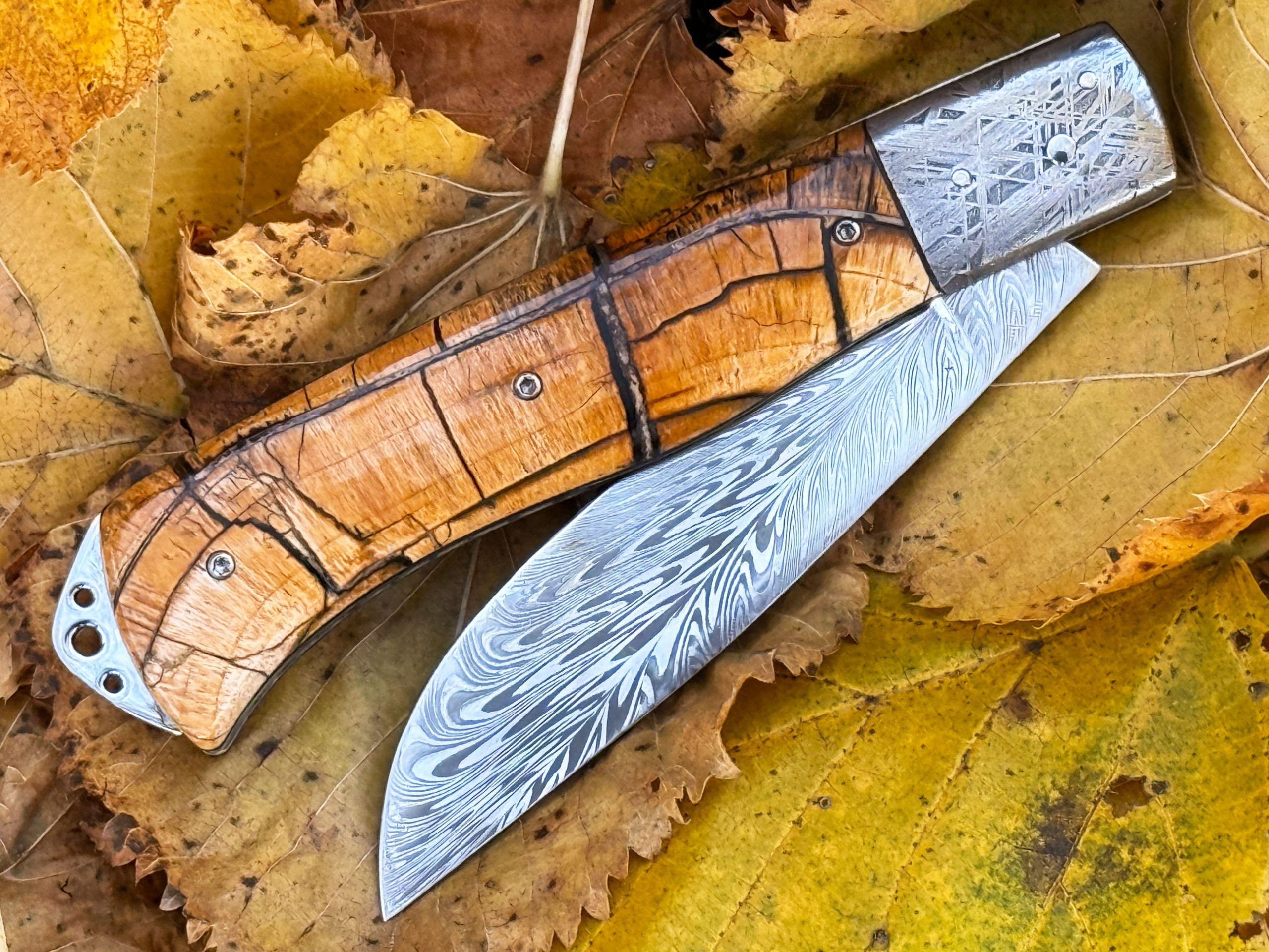 Bourbonnais pulpe d'ivoire de mammouth mitres Météorite Muonionalusta – Image 5