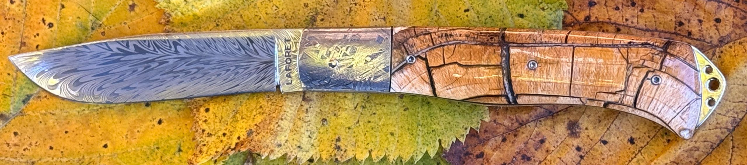 Bourbonnais pulpe d'ivoire de mammouth mitres Météorite Muonionalusta – Image 7