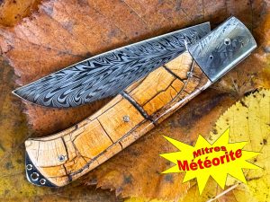 Bourbonnais pulpe d'ivoire de mammouth mitres Météorite Muonionalusta