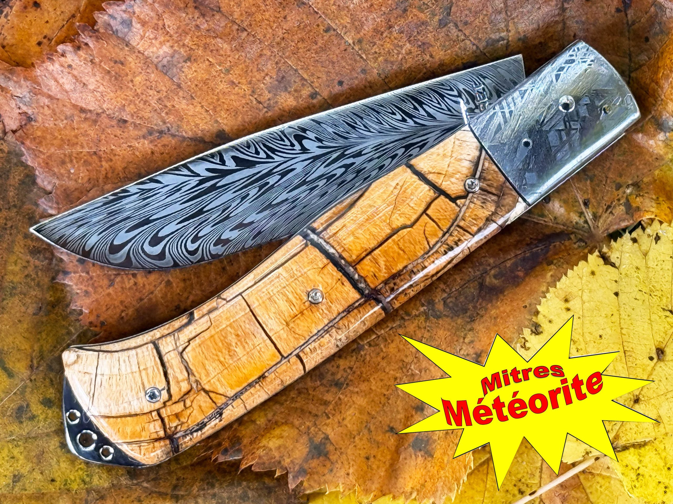 Bourbonnais pulpe d'ivoire de mammouth mitres Météorite Muonionalusta