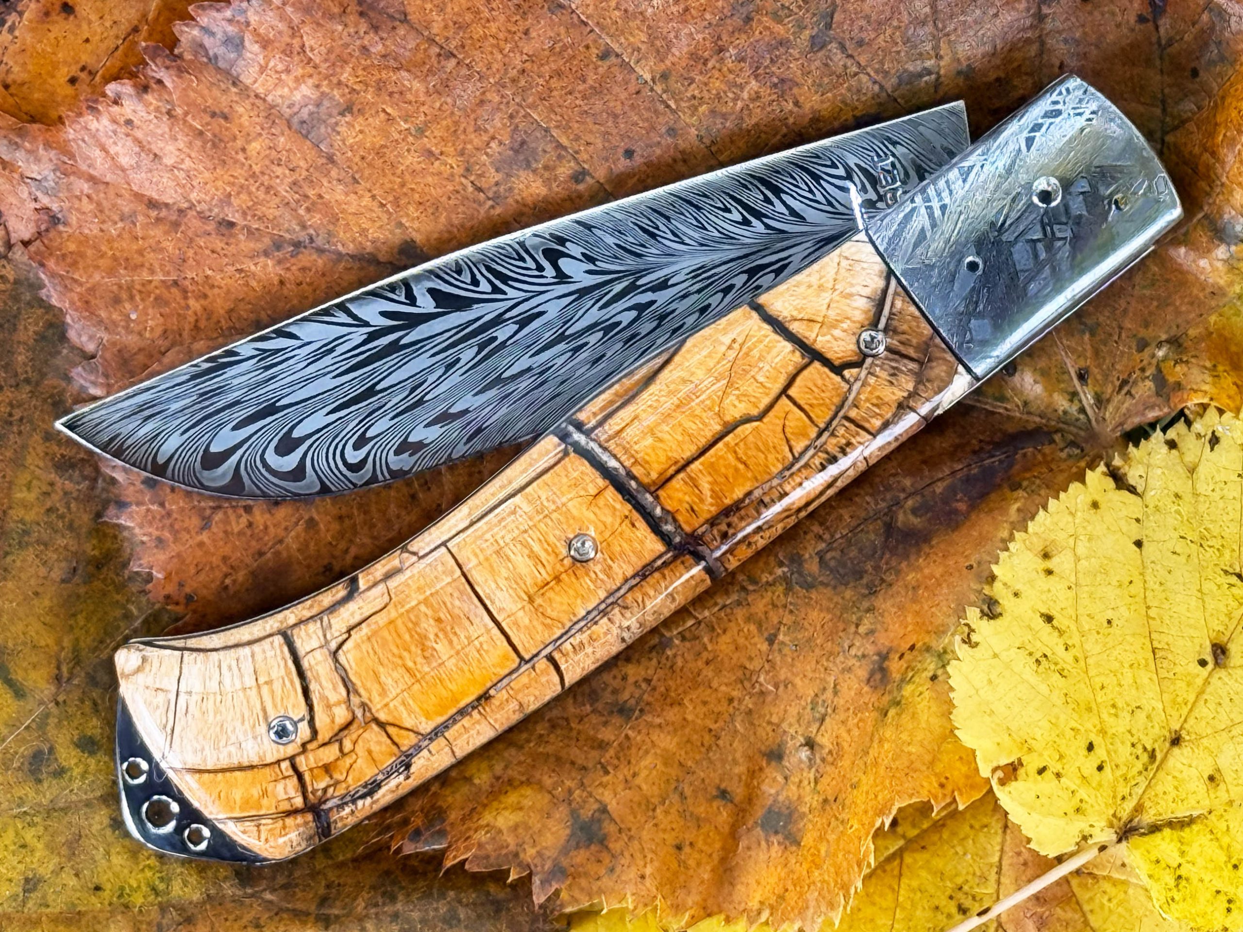 Bourbonnais pulpe d'ivoire de mammouth mitres Météorite Muonionalusta – Image 3