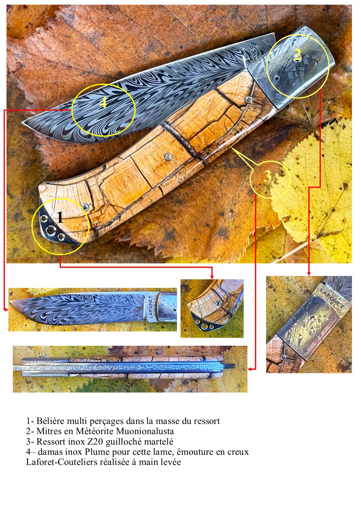 Bourbonnais pulpe d'ivoire de mammouth mitres Météorite Muonionalusta – Image 9