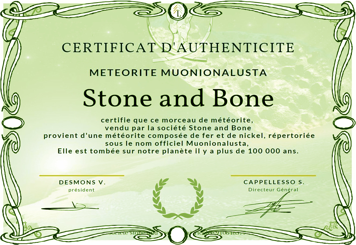 Bourbonnais pulpe d'ivoire de mammouth mitres Météorite Muonionalusta 2 – Image 3