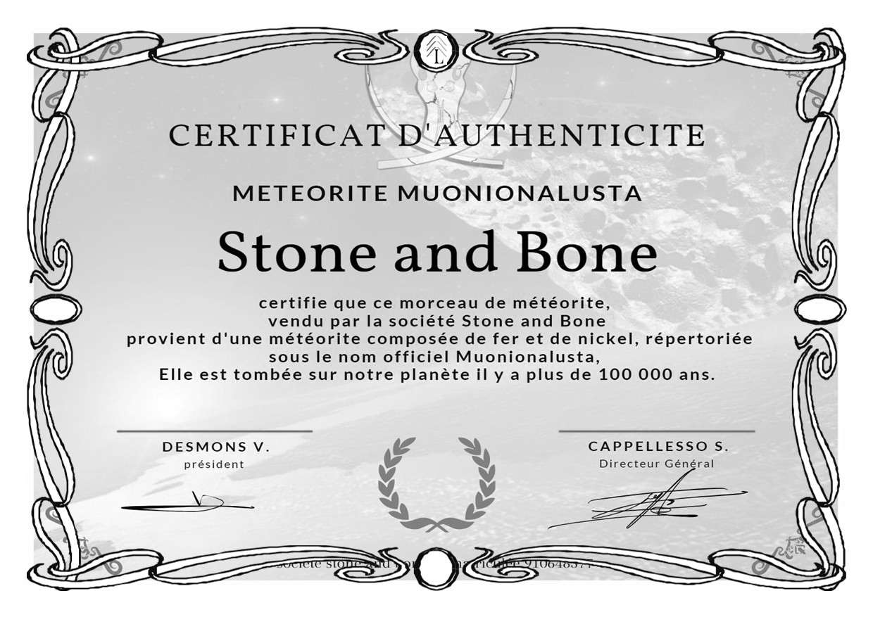 Bourbonnais pulpe d'ivoire de mammouth mitres Météorite Muonionalusta – Image 2