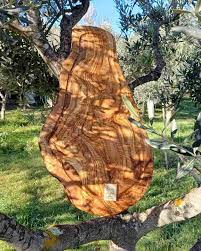 Arconsat ® Bois naturel 2 "Olivier" – Image 4