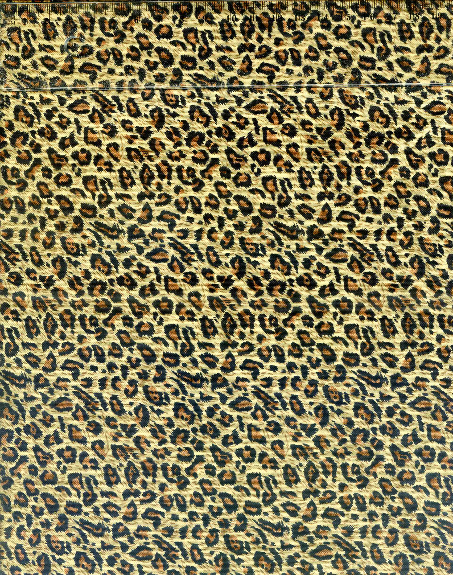 Arconsat ® Résine 7 SAFARI – Image 4