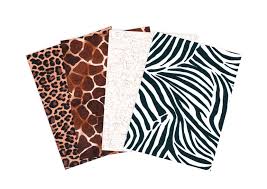 Arconsat ® Résine 7 SAFARI – Image 2