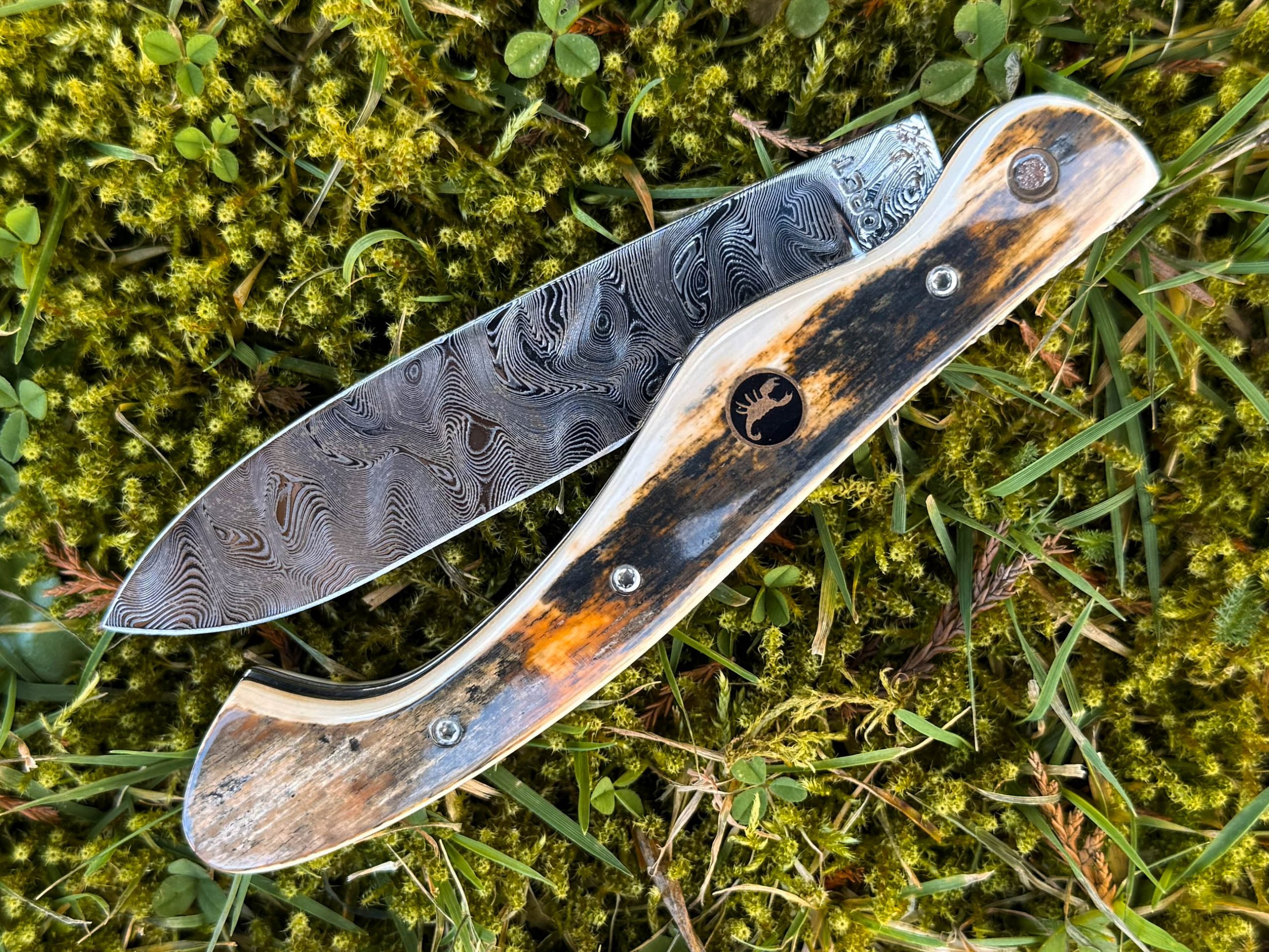 Arconsat ® ivoire de mammouth