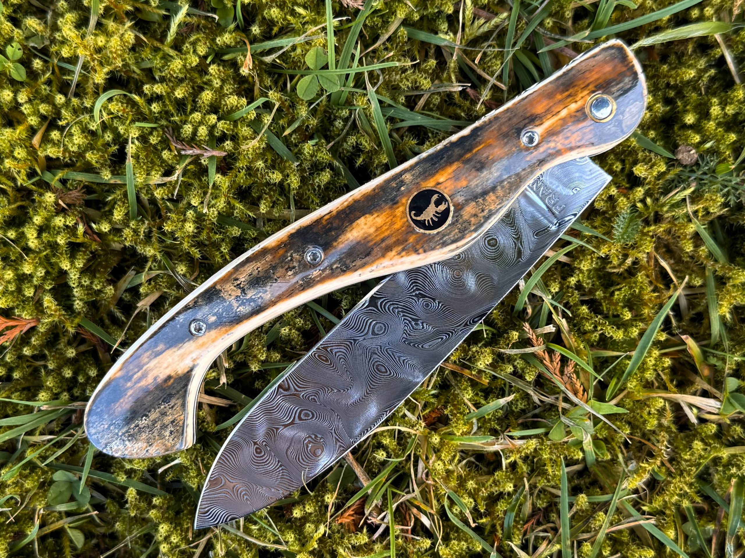 Arconsat ® ivoire de mammouth – Image 3