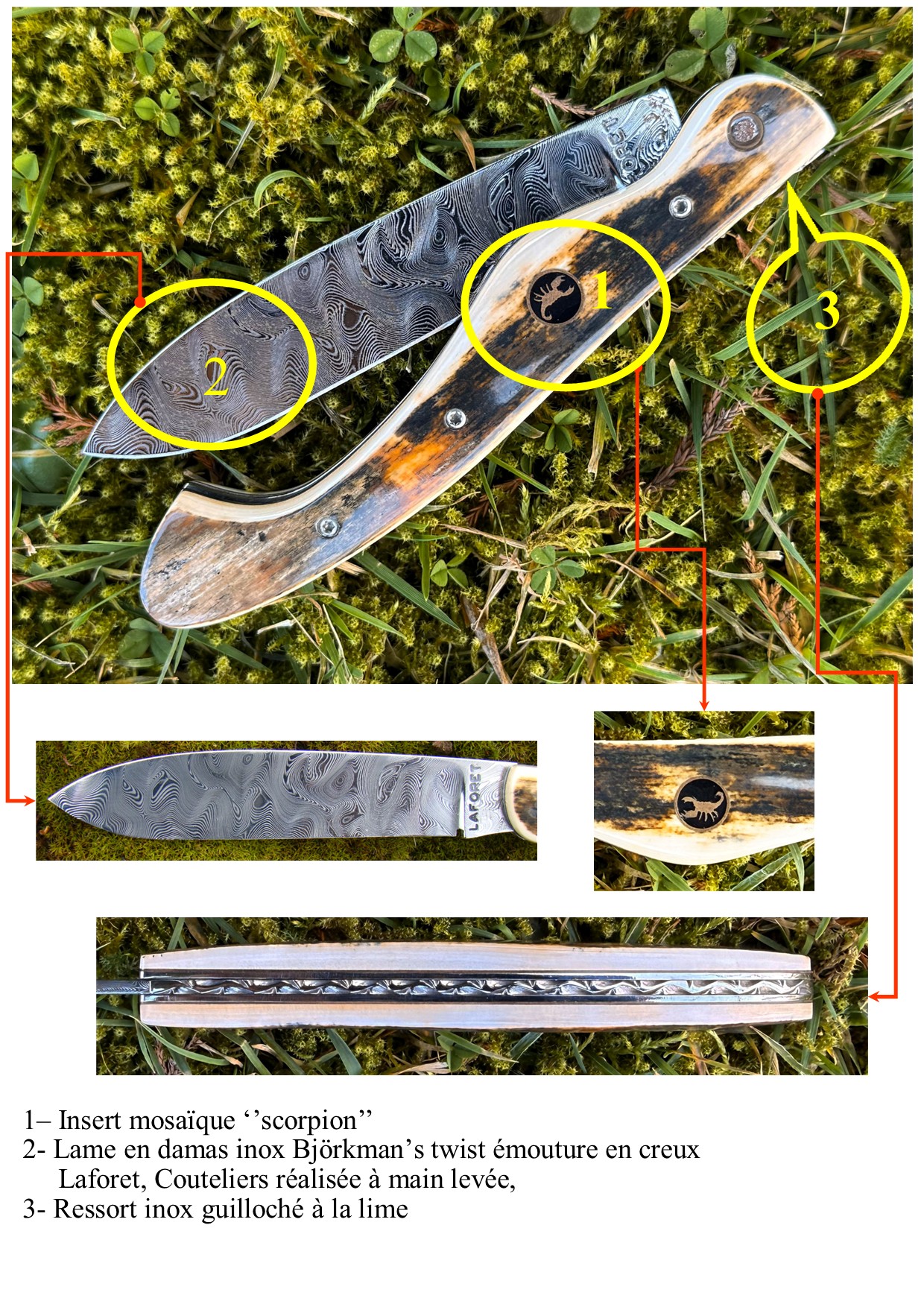 Arconsat ® ivoire de mammouth – Image 7