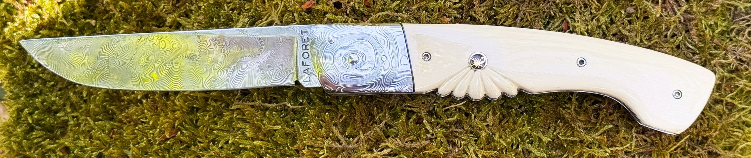Interprétation du Thiers Chasse Mammouth blanc – Image 5