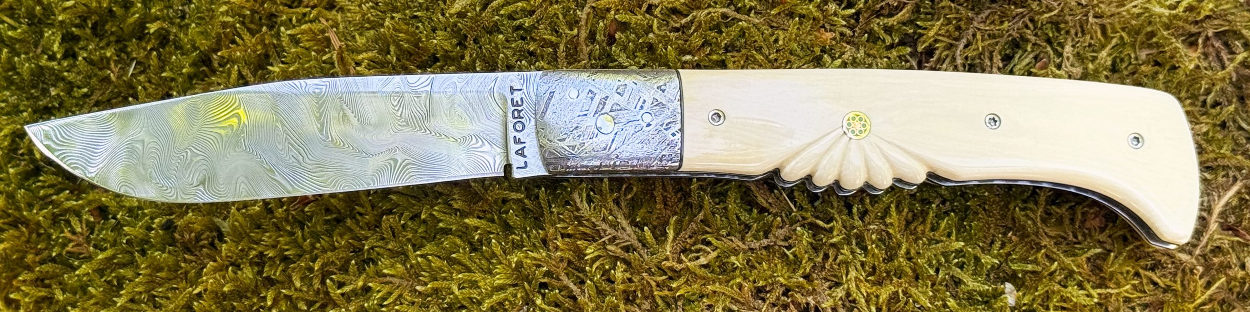 Bourbonnais Mitres Méteorite Muonionalusta – Image 5