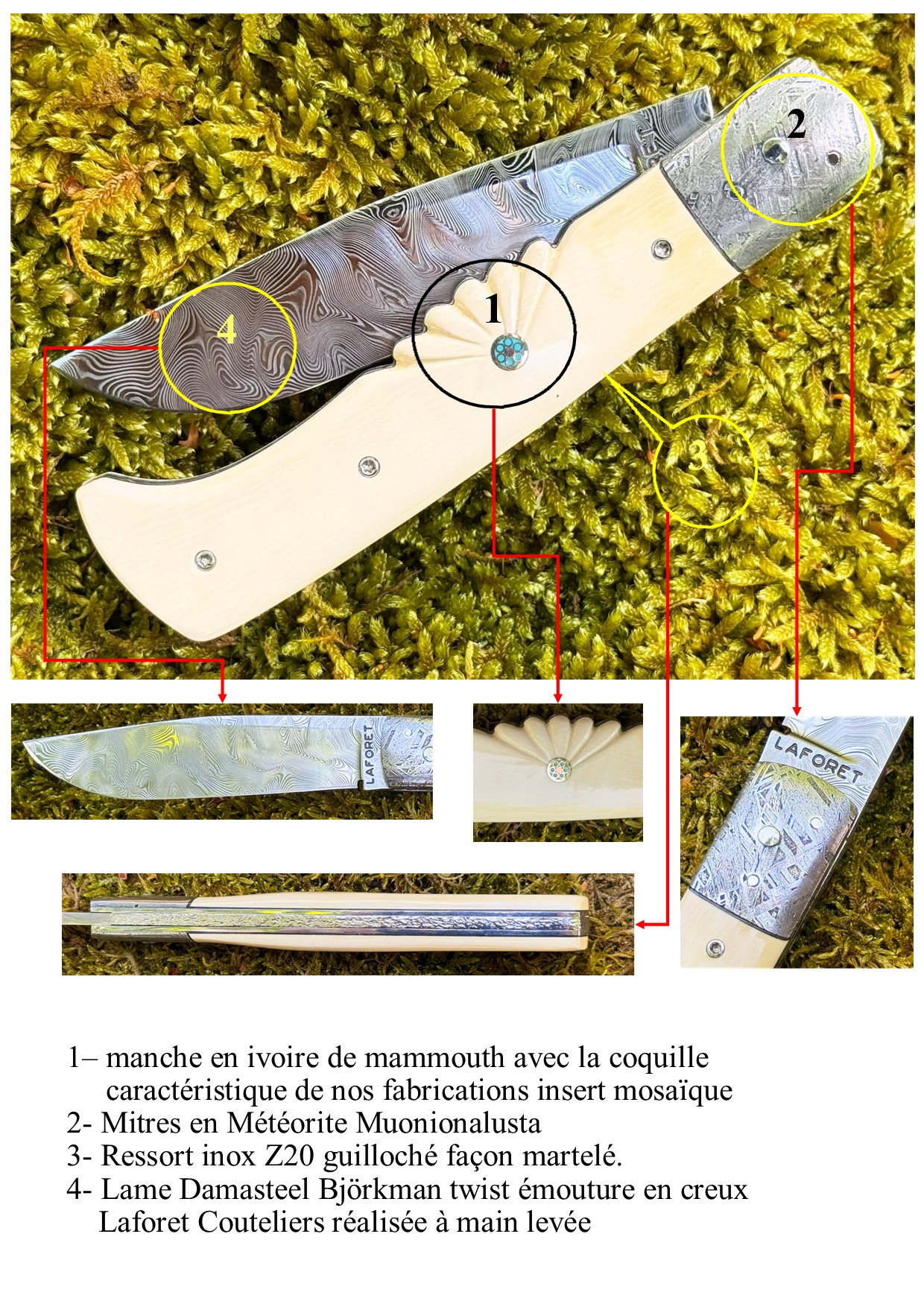 Bourbonnais Mitres Méteorite Muonionalusta – Image 7