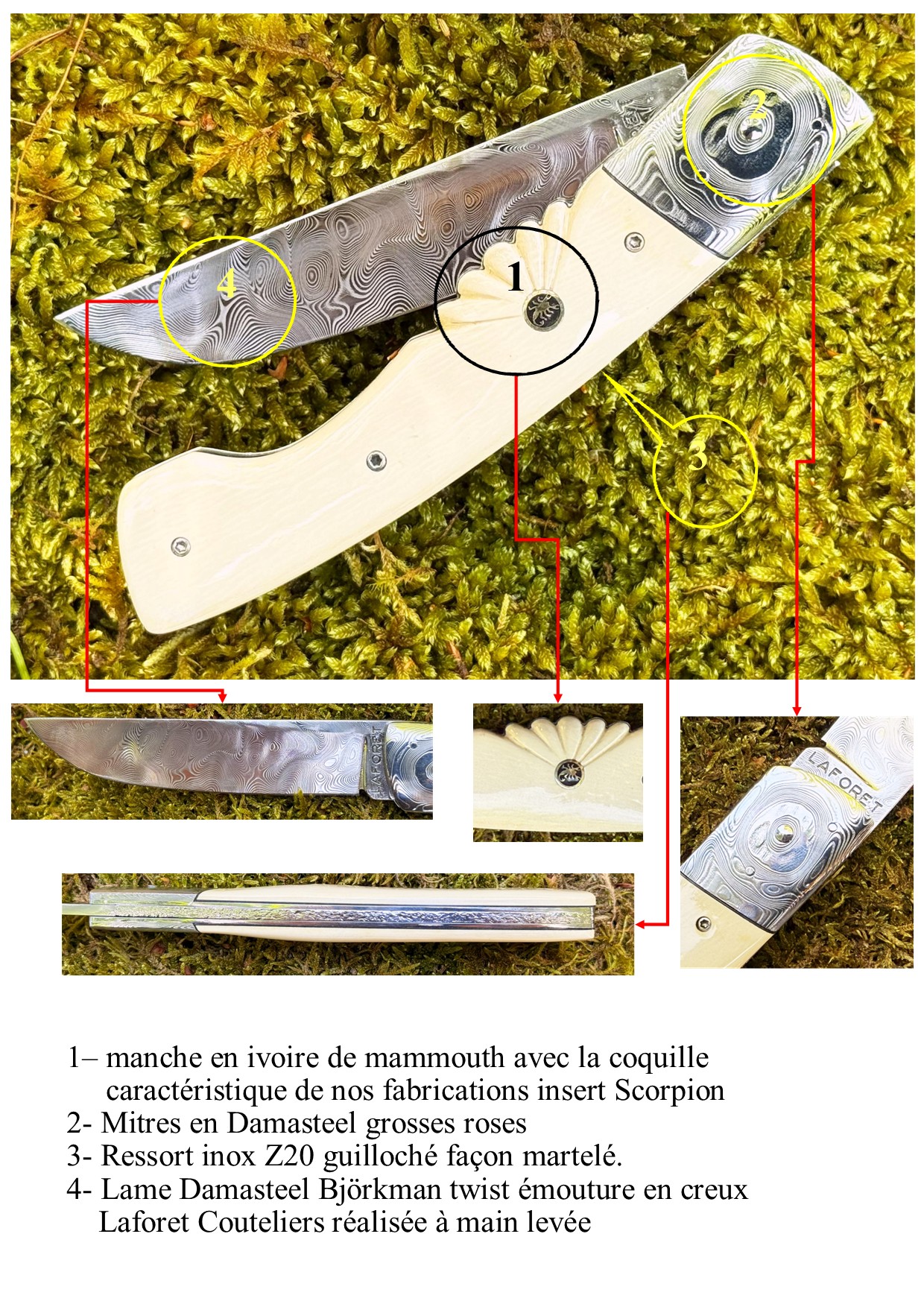 Interprétation du Thiers Chasse Mammouth blanc – Image 7