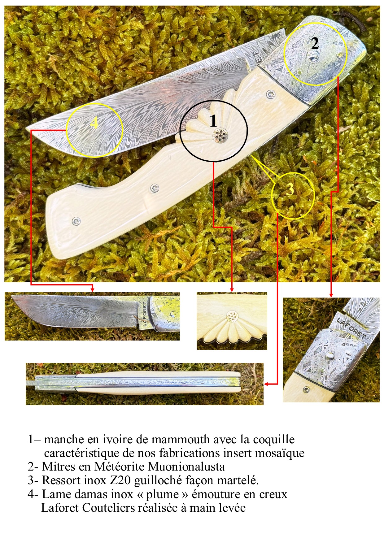 Interprétation du Thiers Chasse Mammouth blanc mitres météorite – Image 5