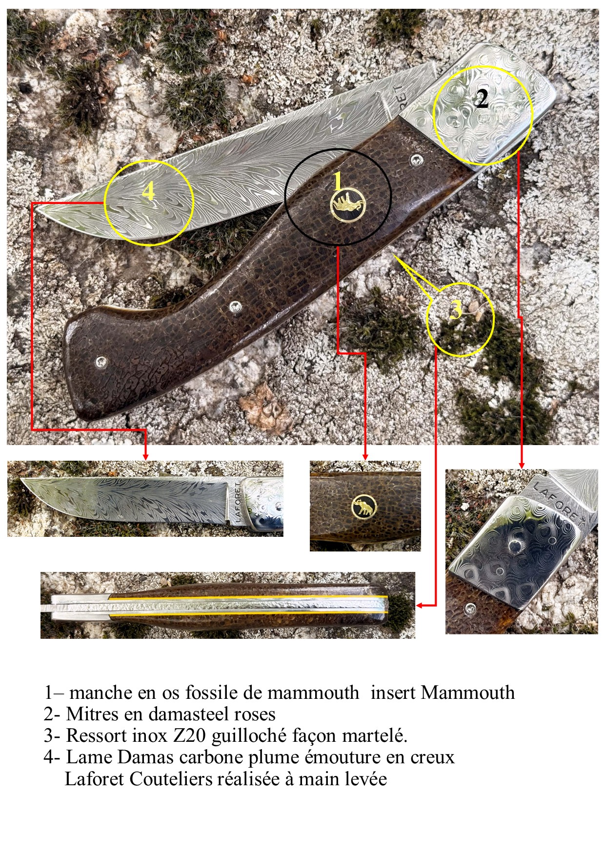 Interprétation du Thiers 13 Cm os mammouth damas carbone plume – Image 7