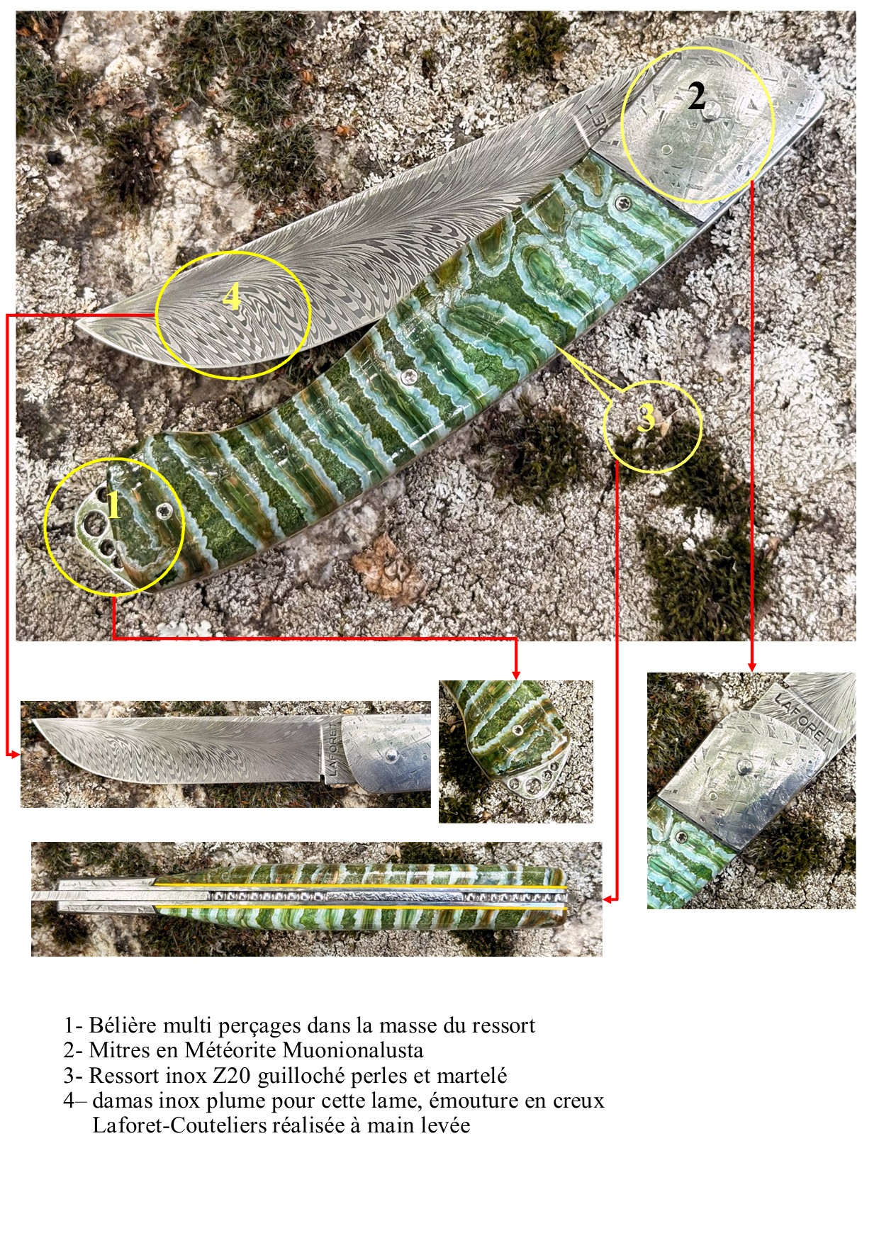 Interprétation du Thiers Le Grand molaire de mammouth Météorite – Image 7